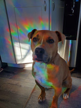 Load image into Gallery viewer, Halloween Suncatcher Window Decal